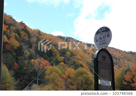 Komagatake Ropeway Shirabidaira Station bus stop 103746566
