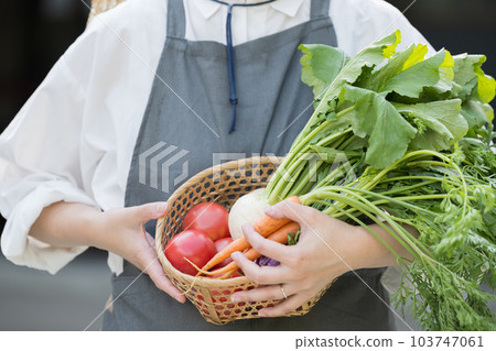 Image of a female farmer growing vegetables Close-up faceless Image of a female farmer growing vegetables Close-up faceless 103747061