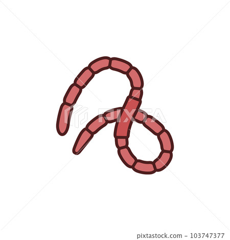 Earth Worm vector concept red icon or symbol Earth Worm vector concept red icon or symbol 103747377