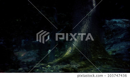 Beautiful Bright Green moss grown up cover the rough stones Beautiful Bright Green moss grown up cover the rough stones 103747436