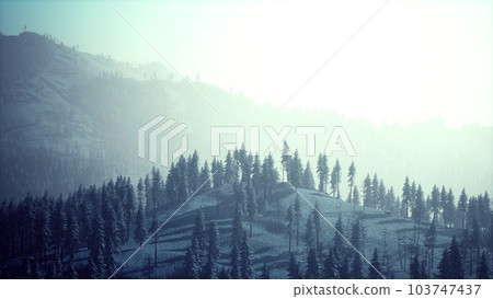 Winter landscape in Semenic mountains 103747437