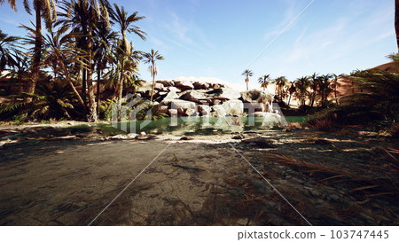Oasis lake in desert surrounded high yellow sand dunes Oasis lake in desert surrounded high yellow sand dunes 103747445