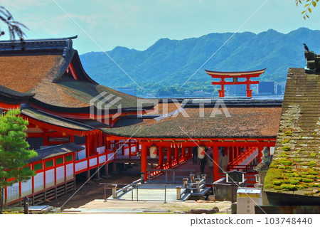 [廣島] 宮島嚴島神社 103748440