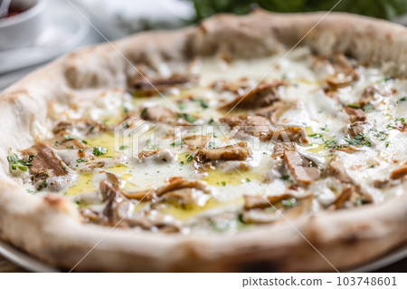 Detail of a mushroom pizza with cheese, chantarelles and fresh herbs Detail of a mushroom pizza with cheese, chantarelles and fresh herbs 103748601