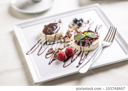 Sweet dessert panna cotta from Italy served on a decorated plate with fruit and chocolate 103748607
