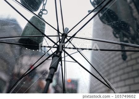 冷雨打傘 冷雨打傘 103749602