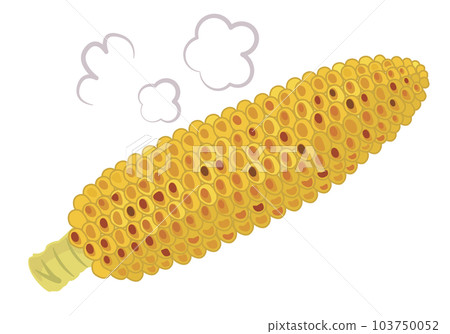 可愛的烤玉米插圖,適用於兒童、食品教育、教材和商業用途。 可愛的烤玉米插圖,適用於兒童、食品教育、教材和商業用途。 103750052