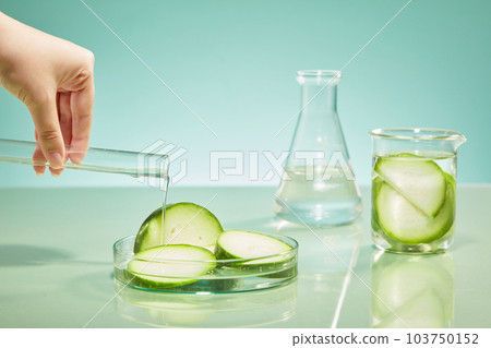 Hand model is pouring liquid from a test tube into a glass petri dish of winter melon slices. Winter melon (Benincasa hispida) may increase vitamin C levels in the lens 103750152