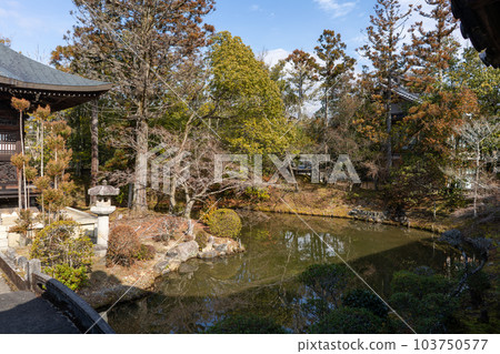 Kimonoji 103750577