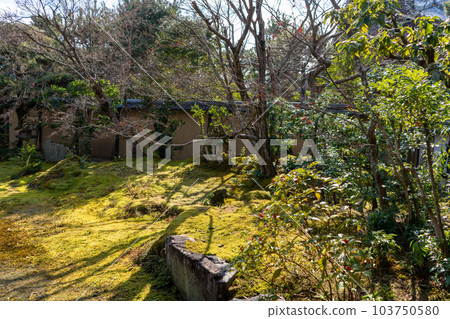 清涼寺 103750580