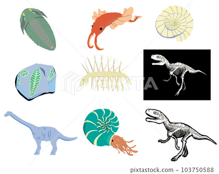 古生物學收藏 103750588