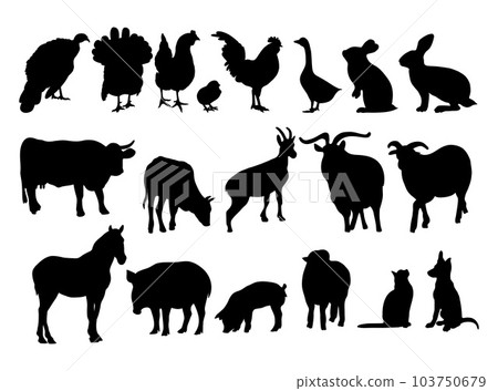 Collection silhouettes domestic farm animals and poultry birds. Vector illustration. Isolated hand drawings animals on white background for design 103750679