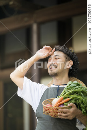 Image of a farmer harvesting vegetables Country life and rural migration 103750686