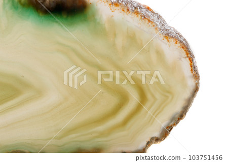 Macro mineral stone Yellow Agate breed a white background 103751456