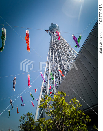 鯉魚旗和東京晴空塔 103751618
