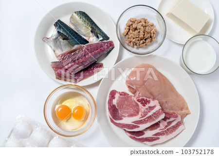 foods high in protein 103752178