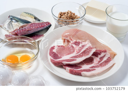 foods high in protein foods high in protein 103752179