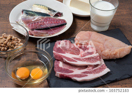 foods high in protein foods high in protein 103752183