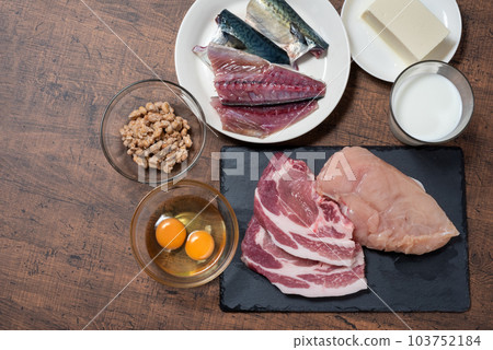 蛋白質含量高的食物 103752184