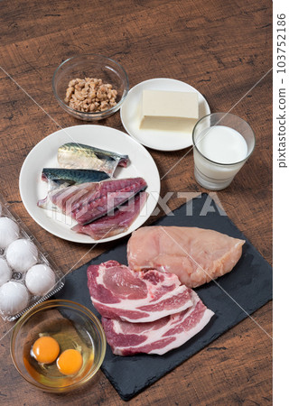 蛋白質含量高的成分垂直位置 103752186