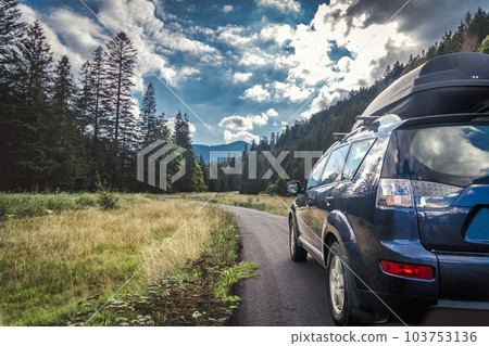 car for traveling with a mountain road 103753136