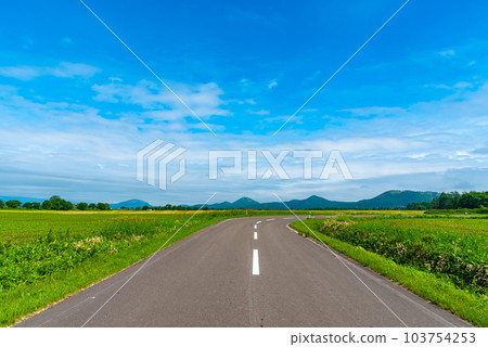 農村/道路/田野中/夏季 103754253