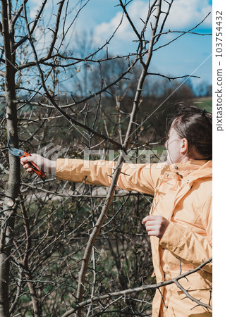 Pruning tree branches in the garden in spring, A woman cuts unnecessary branches from a fruit tree. Pruning tree branches in the garden in spring, A woman cuts unnecessary branches from a fruit tree. 103754432