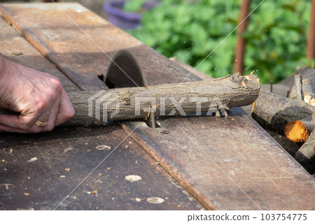 Hands of a worker sawing firewood with an industrial electric circular saw close-up. Harvesting firewood for the winter, sawmill Hands of a worker sawing firewood with an industrial electric circular saw close-up. Harvesting firewood for the winter, sawmill 103754775