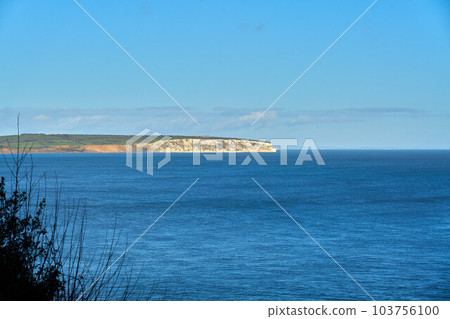 A view of the chalk cliffs of Culver viewed from Shanklin on the Isle of Wight A view of the chalk cliffs of Culver viewed from Shanklin on the Isle of Wight 103756100