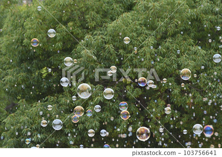 扇町的肥皂泡 103756641