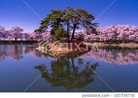 《長野縣》月夜櫻花・六道堤櫻花 《長野縣》月夜櫻花・六道堤櫻花 103756730