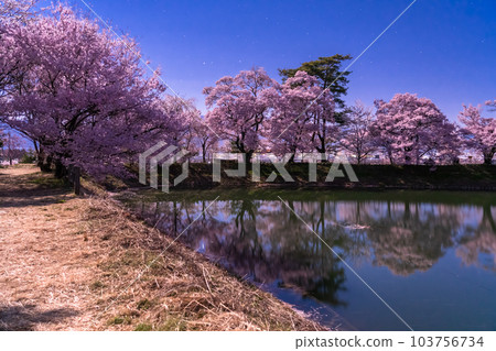 《長野縣》月夜櫻花・六道堤櫻花 103756734