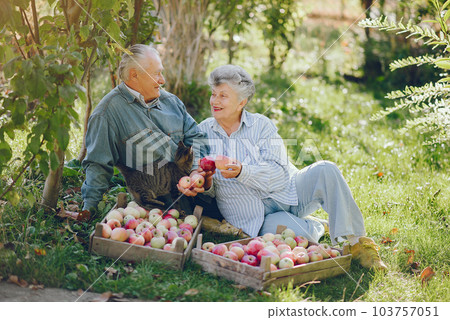 Senior with box of apple. Brunette in a blue shirt. Grandfather with grandaughter. 103757051