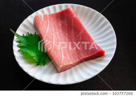 middle toro fence 103757260