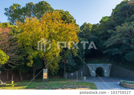 秋葉映襯下的御立岬公園海濱入口景觀（熊本縣蘆北郡蘆北町田浦町） 103758527