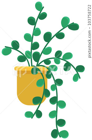 Decorative green plant with long leaves in ceramic pot, pot with houseplant. Home interior plant 103758722