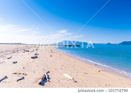 Driftwood and Sandy Beach Mitatsumisaki Park Beach (Taura Town, Ashikita Town, Ashikita District, Kumamoto Prefecture) 103758790