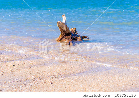 Driftwood and waves against the backdrop of the blue sea Mitatsumisaki Park Beach (Taura Town, Ashikita Town, Ashikita District, Kumamoto Prefecture) 103759139