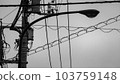 光  103759148