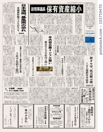 Newspaper _1 page_whole surface 1 103759470