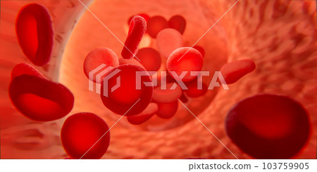 Blood cells in vein. Red blood cells circulating in blood vessels. medical health care. Vascular therapy. 3d illustration 103759905