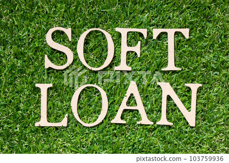 Wood alphabet letter in word soft loan on artificial green grass background 103759936