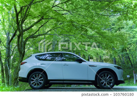 Fresh green favorite car Fresh green favorite car 103760180