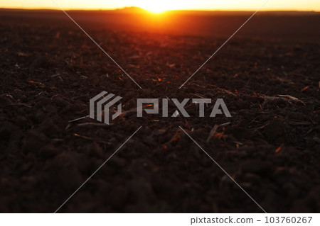Agriculture and agribusiness concept. Beautiful rural landscape view of large plowed agricultural field of black soil on orange sunset. Preparation farmland for sowing crops and planting vegetables. 103760267