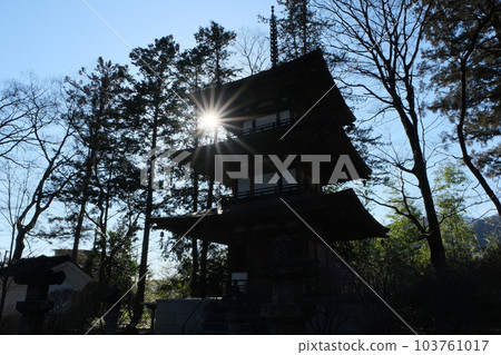 The three-storied pagoda of Erinji Temple. Yamanashi Prefecture 103761017