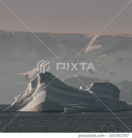 Tempano floating in the Antarctic Sea, near the Antarctic Peninsula. 103761707