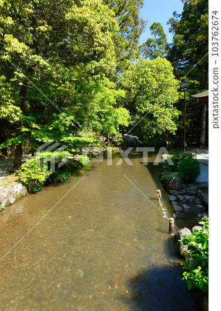 小川如果Kamigamo神社 小川如果Kamigamo神社 103762674