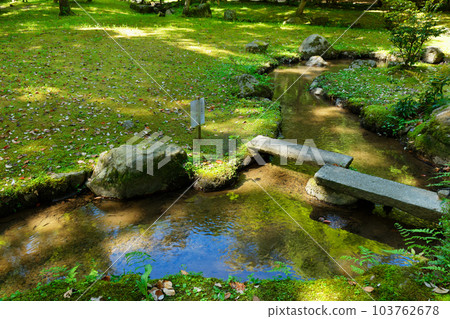 上賀茂神社、升慶園、新綠的葉子 上賀茂神社、升慶園、新綠的葉子 103762678