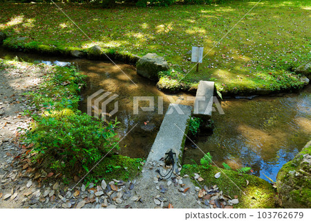 Kamigamo Shrine, Shokeien Garden, fresh green leaves Kamigamo Shrine, Shokeien Garden, fresh green leaves 103762679