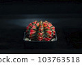 Cactus with thorn called "Gymnocalycium mihanovichii variegata" 103763518